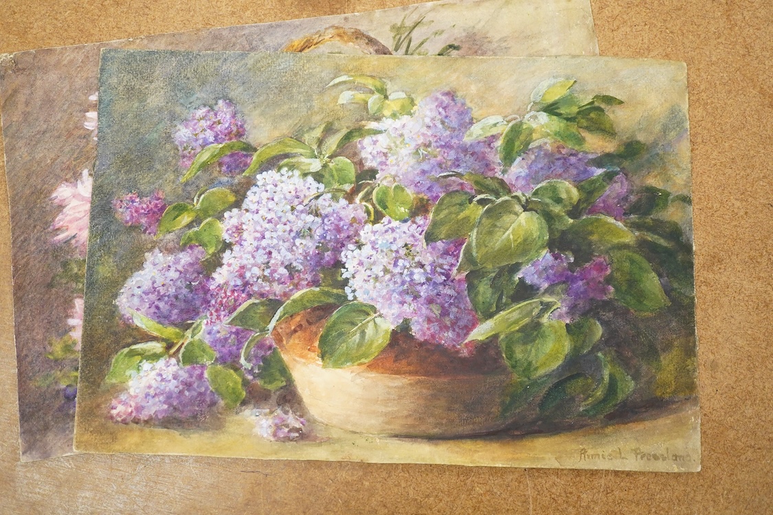 Annie L Pressland, Set of four original watercolours for postcard designs, to include Chrysanthemums and Violets, Lilac and Scarlet Anenomes, each signed, watercolours on card, unframed, largest 19 x 27cm